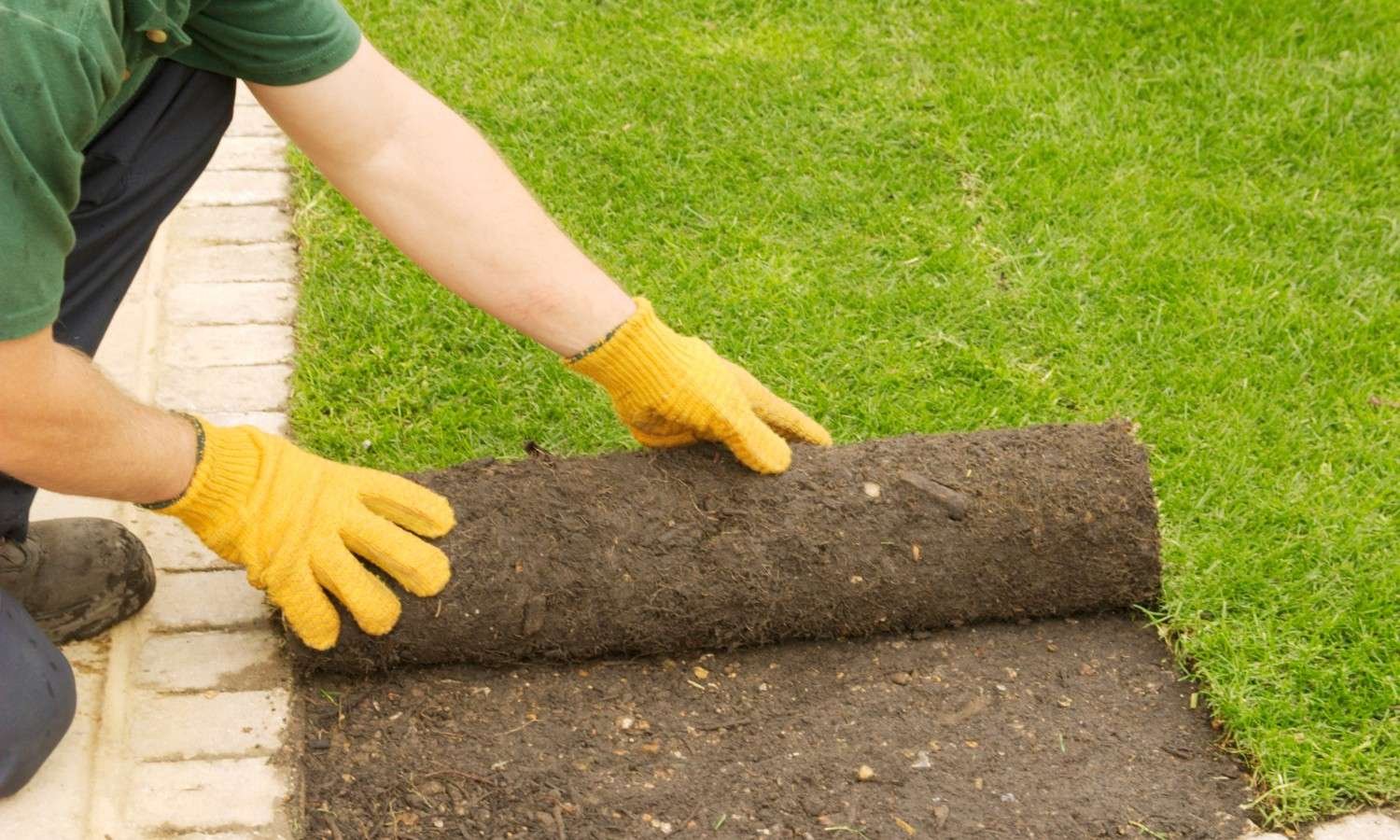 New Turf Lawns New Jersey